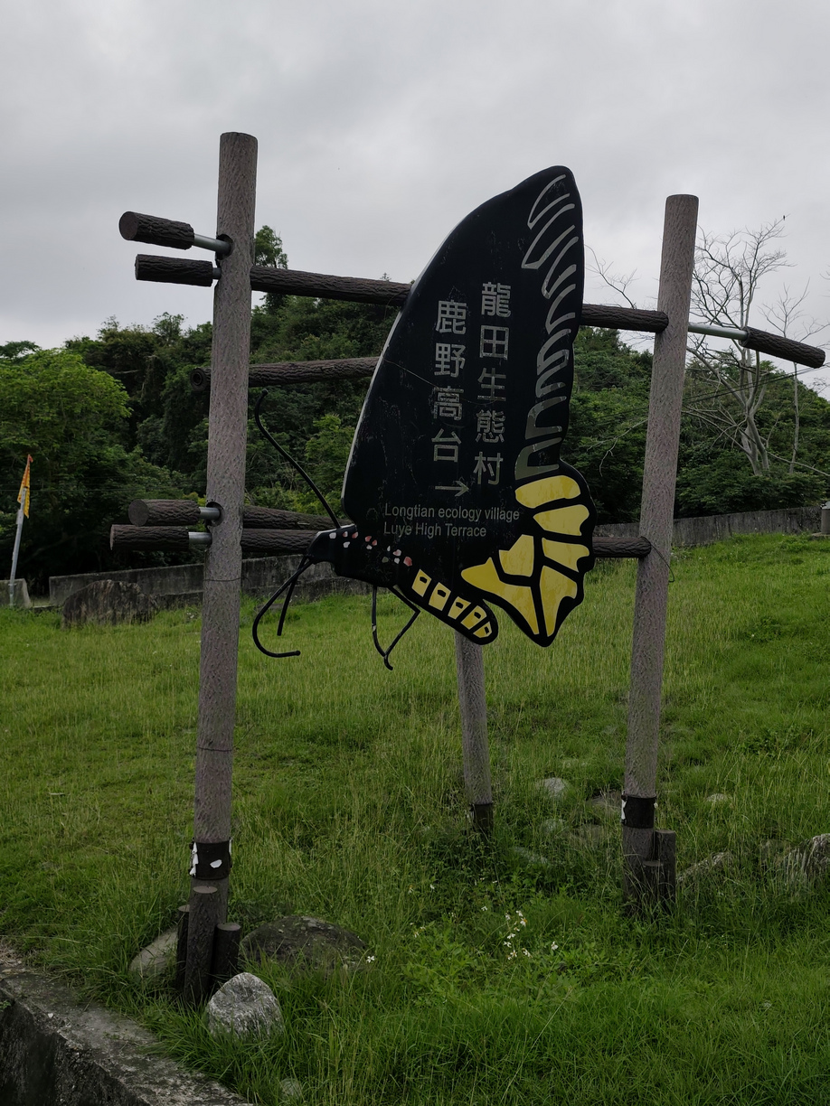 蝴蝶復育場地-龍田村